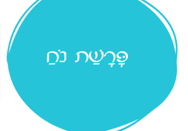 אורטון פרשת נח