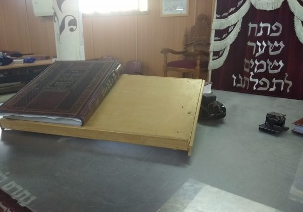סיירת תורנית