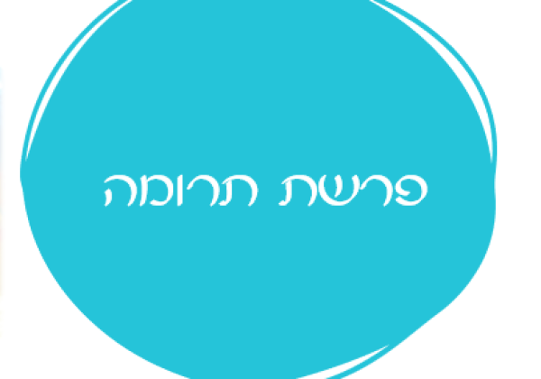 אורטון פרשת תרומה